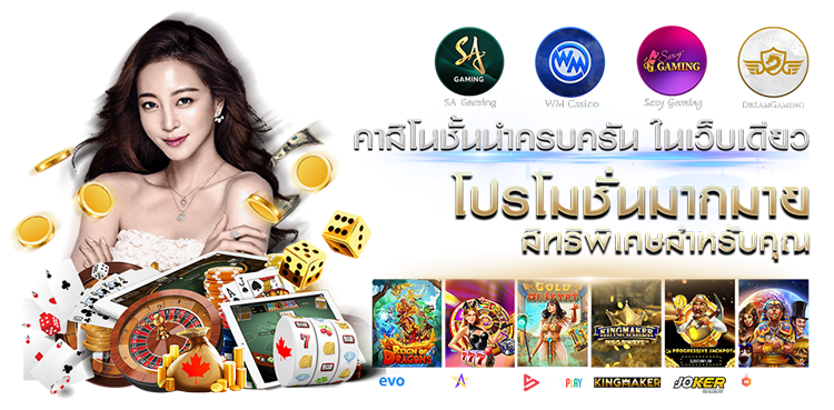 PIPO191 ทางเลือกใหม่ของนักเสี่ยงโชค ระบบลื่นไหล 